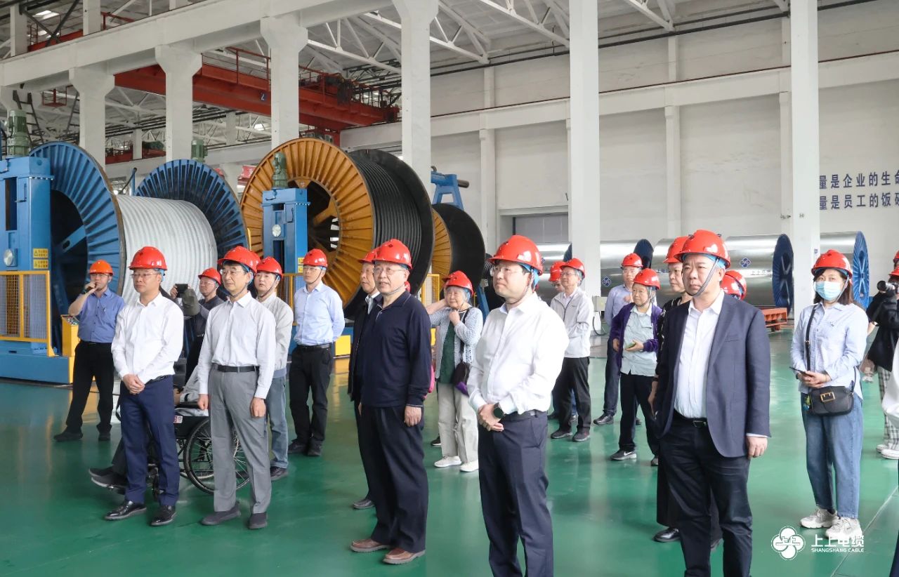 1682413645656458.jpg 1682413645656458.jpg